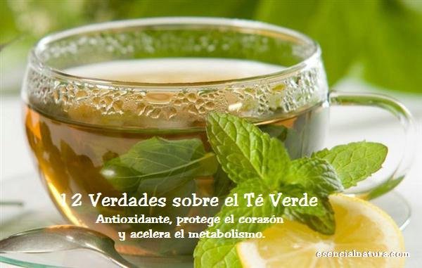 Fitoterapia; Info, beneficios Conoce 12 verdades sobre el té verde
