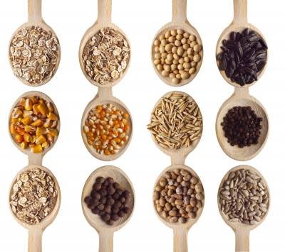 7 pasos sencillos para empezar a guardar sus propias semillas