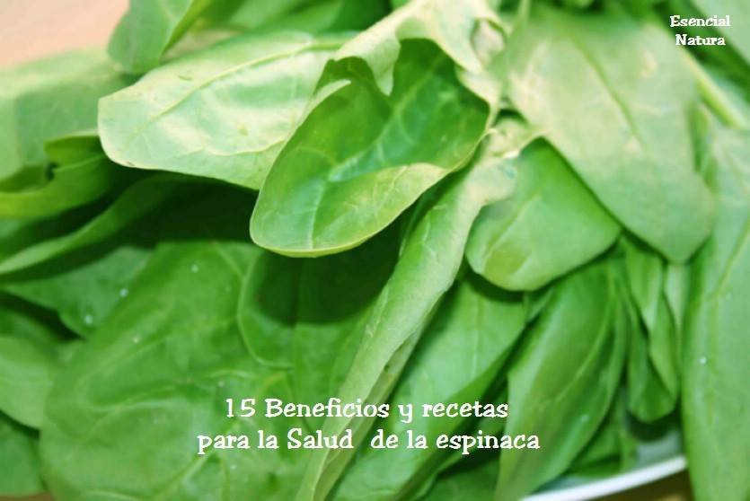 15 Beneficios y recetas para la Salud de la espinaca