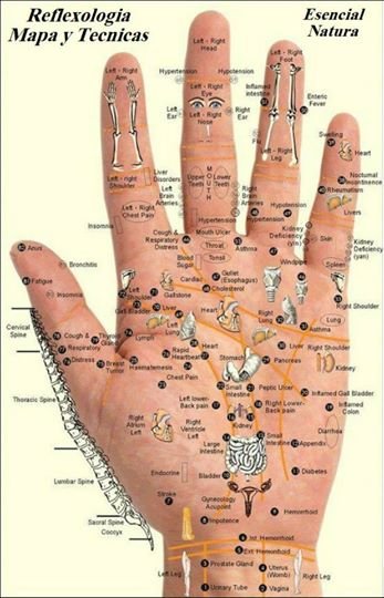 Gráfico y masaje de manos en los puntos de Meridianos