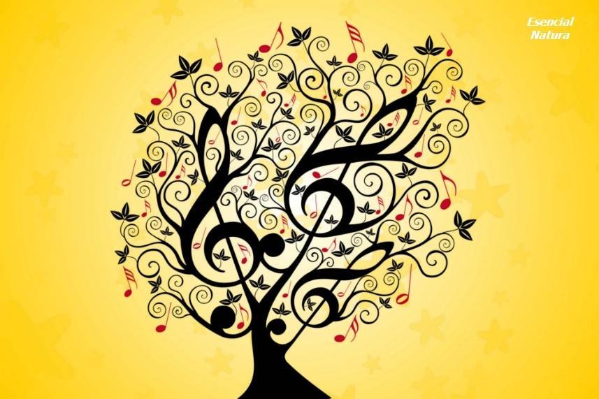 9 efectos que la música clásica produce sobre nuestro cerebro