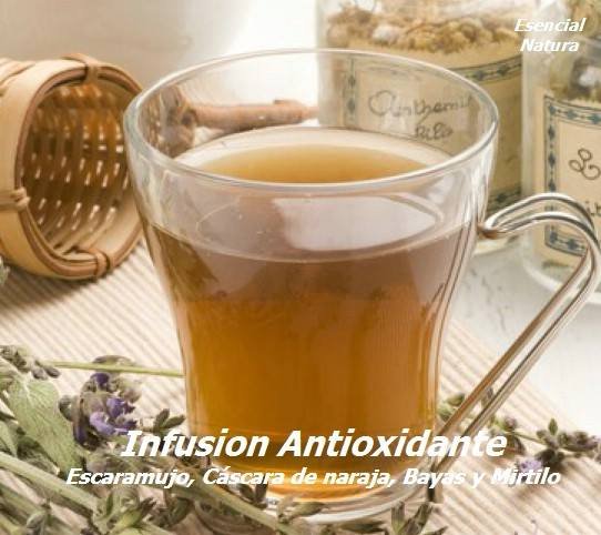 Infusión antioxidante con Escaramujo, Cáscara de naraja, Bayas y Mirtilo