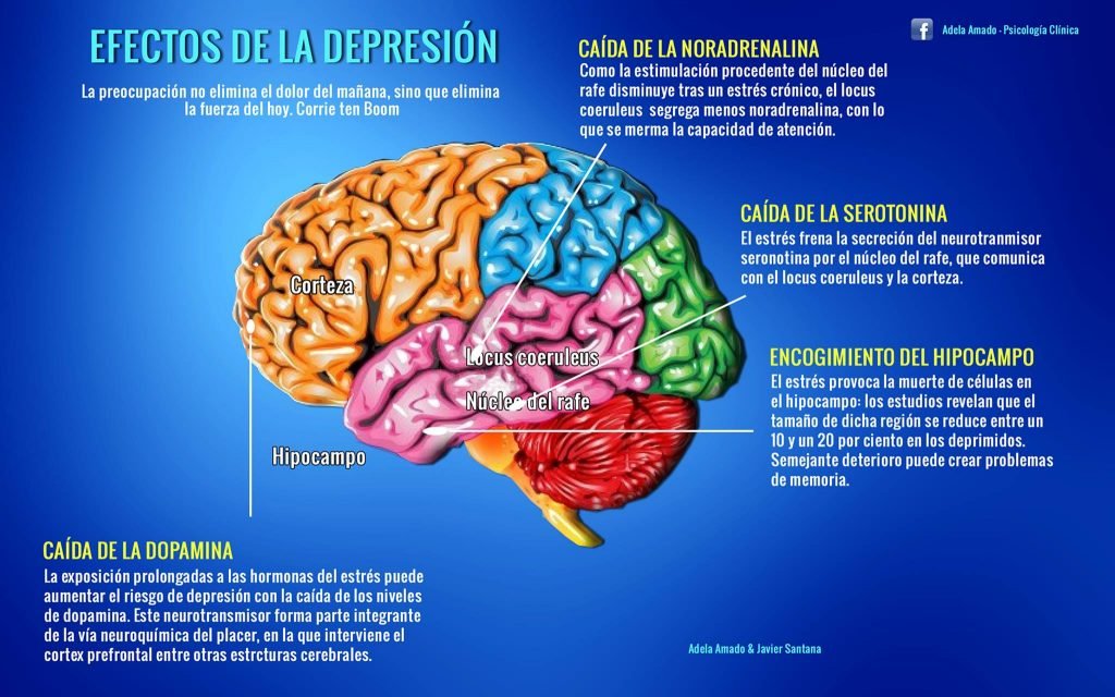 Depresión: ¿se origina en el sistema inmunológico?
