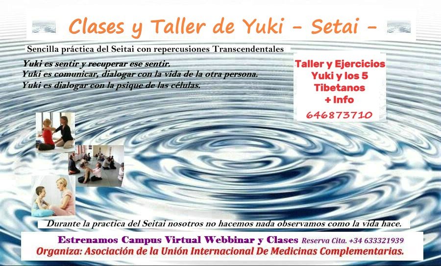 Taller, sesiones y Ejercicios Yuki- Seitai- en Linea.