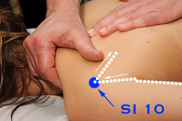 Use el meridiano del intestino delgado para aliviar el dolor en el hombro